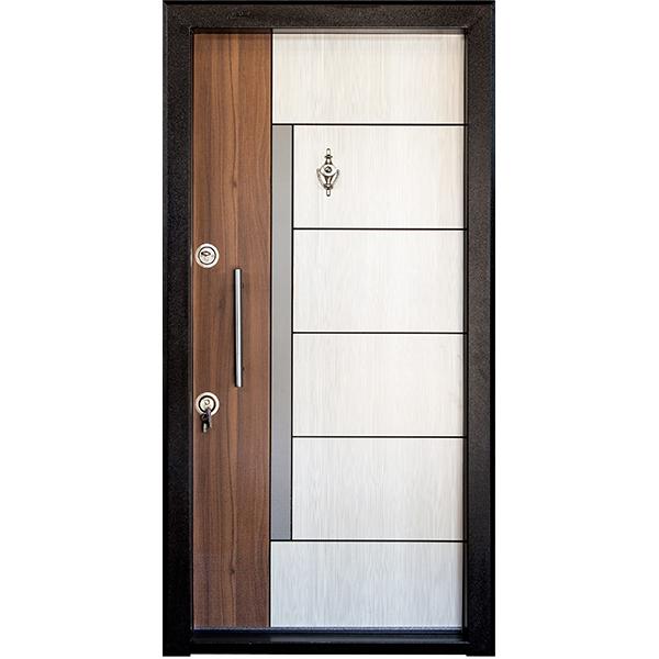 Economy security door