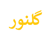 گلنور