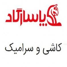 کاشی پاسارگاد