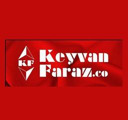 کیوان فراز