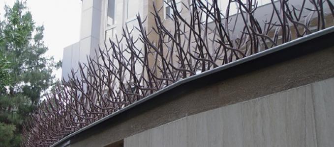 Shrub protection