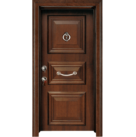 Security Door
