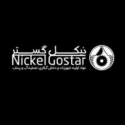 نیکل گستر