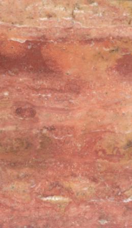 Campus red travertine stone