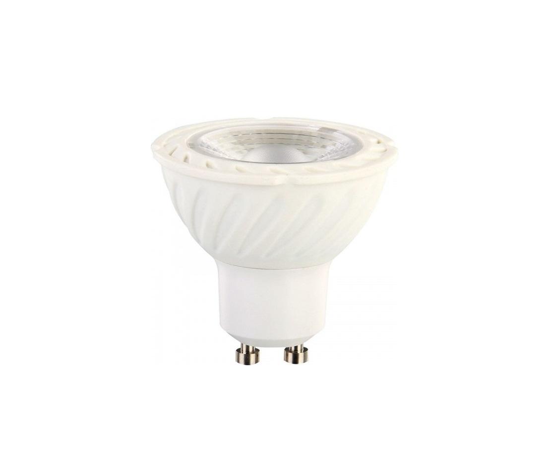 Halogen lamp