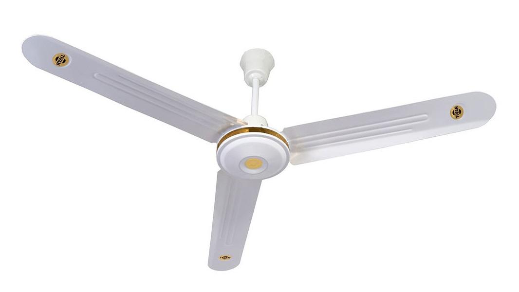 Ceiling fan