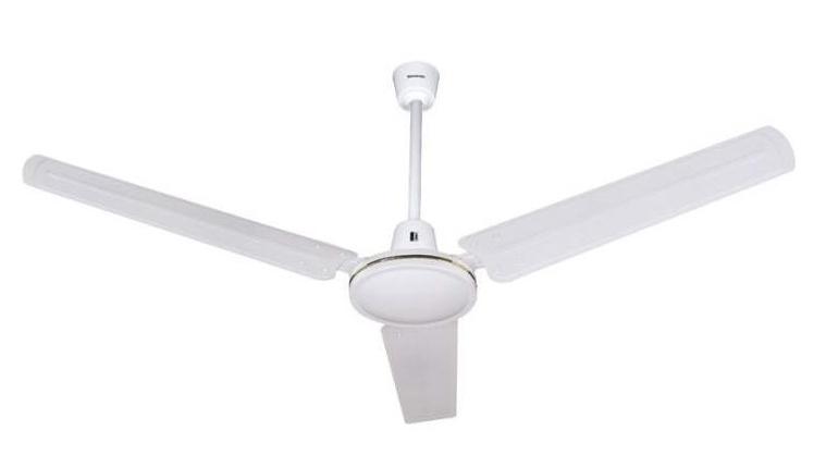 Ceiling fan