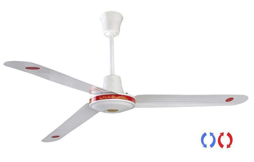 Ceiling fan