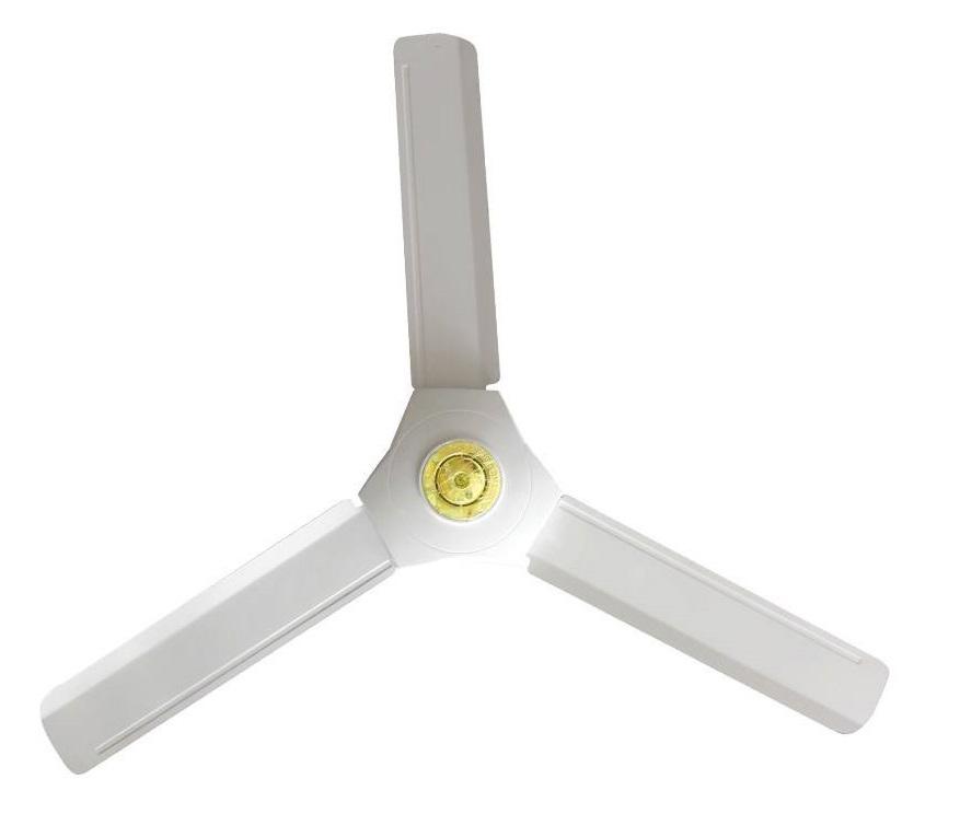 Ceiling fan