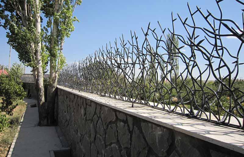 Shrub protection