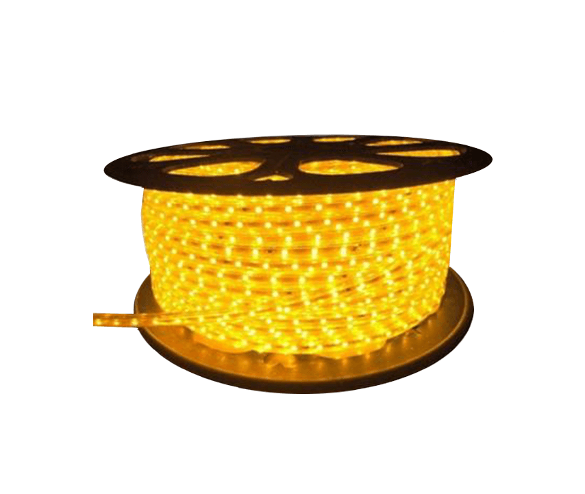 Hose Light