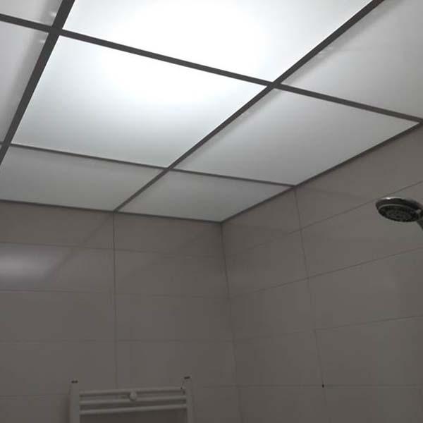 Plexiglas ceiling panel