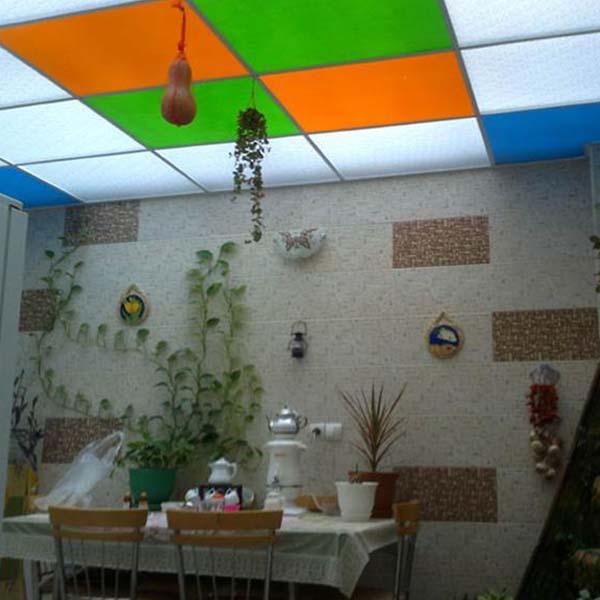 Plexiglas ceiling panel