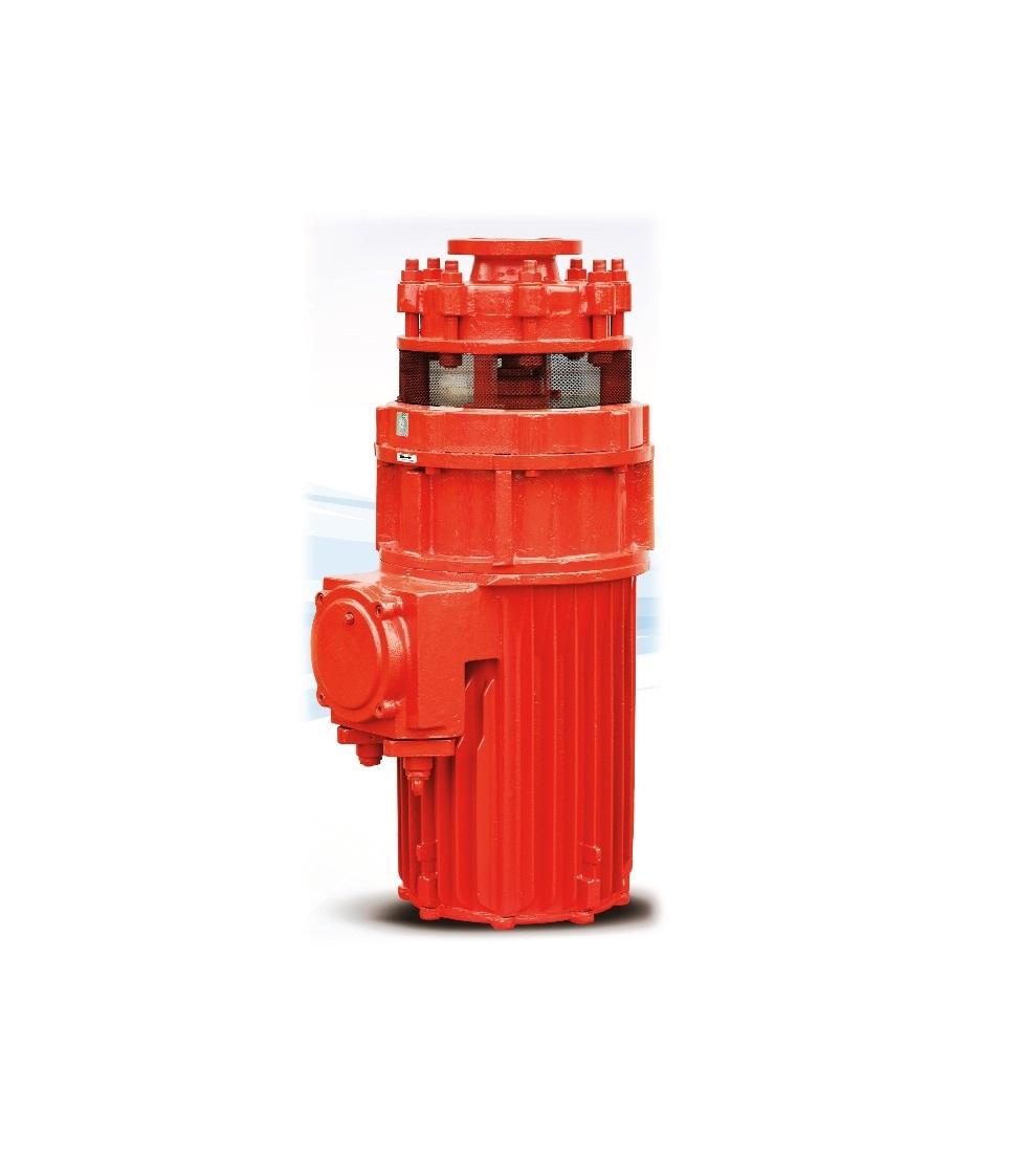 Reservoir Submersible Electro Pump