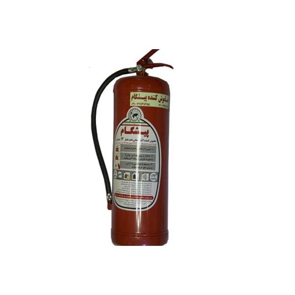 Powder and gas fire extinguishers