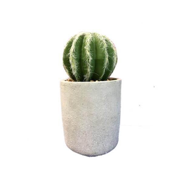 Artificial Cactus