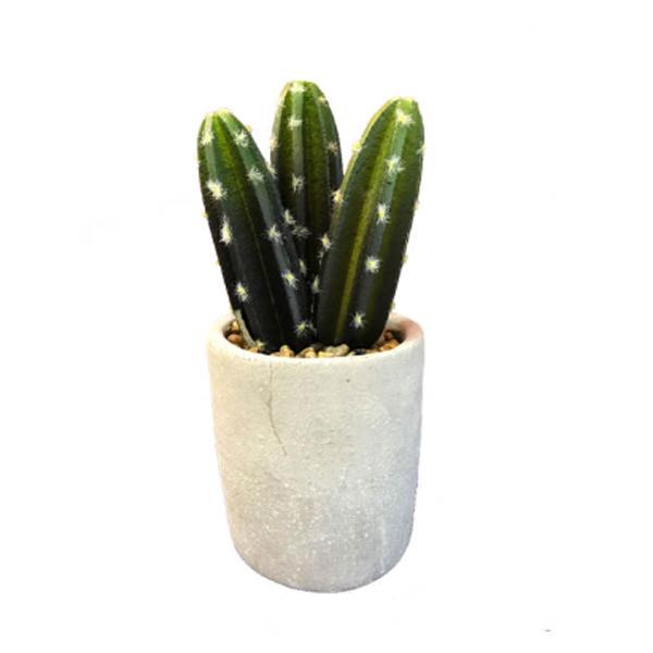 Artificial Cactus