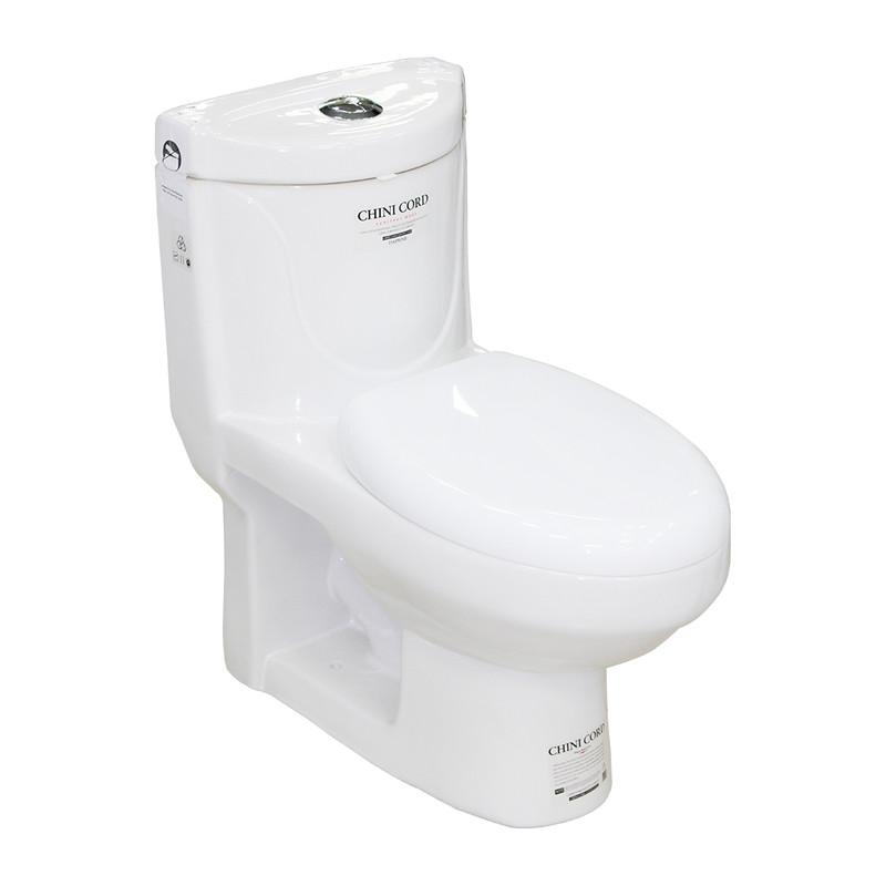 Western-style toilet