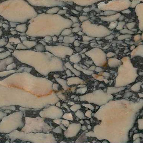 Cheetah Marble stone