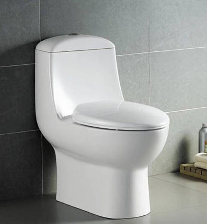 Western-style toilet