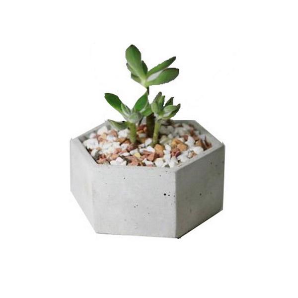 Concrete pot