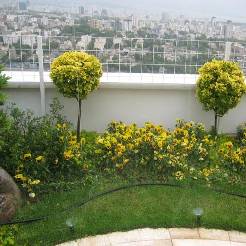 green roof