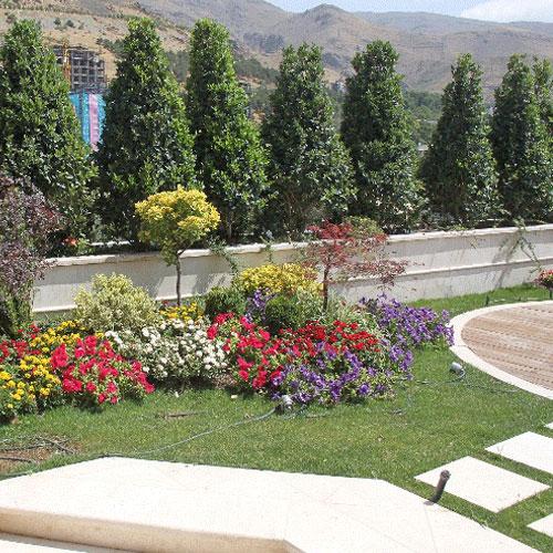 green roof