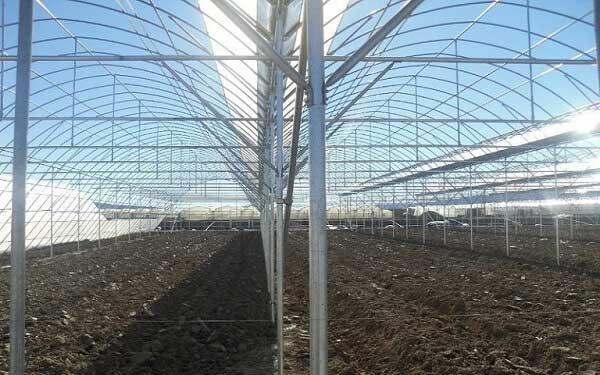 Greenhouse pipe