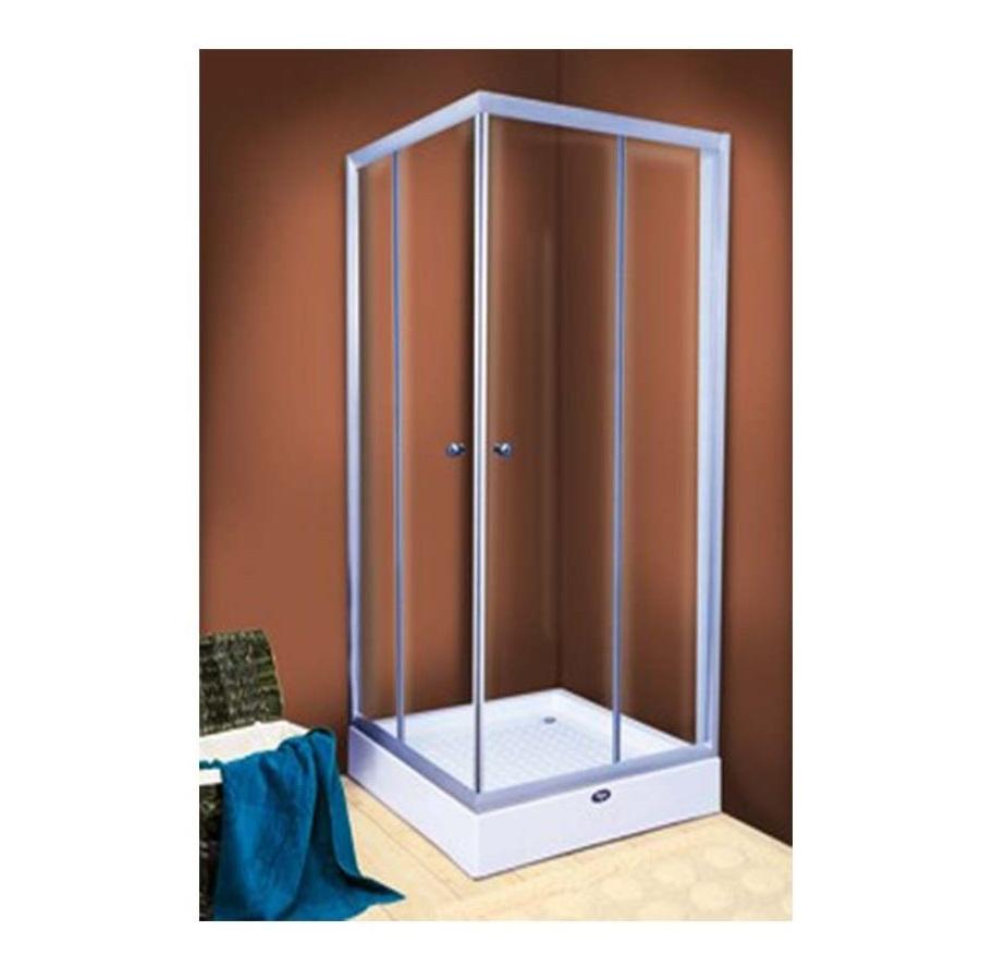 Shower Glass Partition