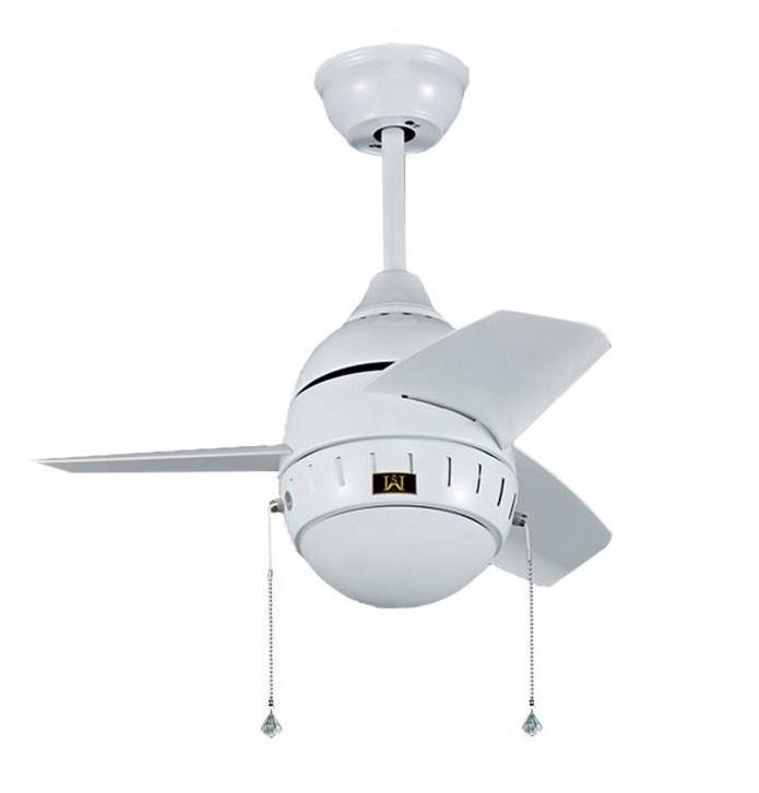 Ceiling fan Ceiling fan