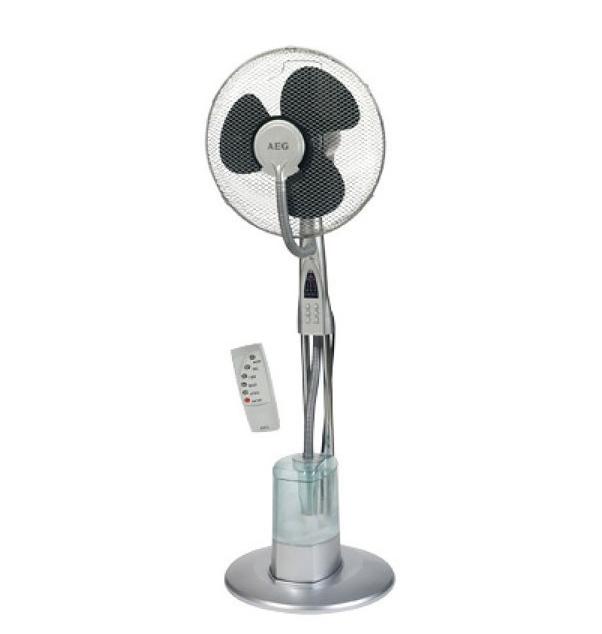 Fan Fan