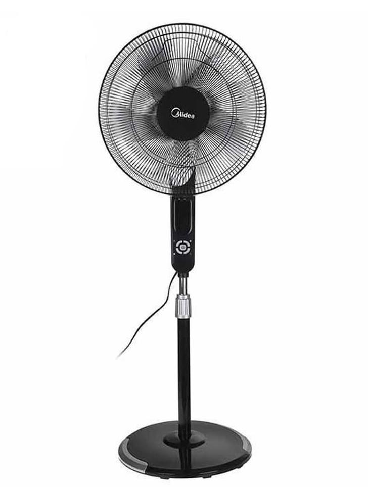 Fan Fan