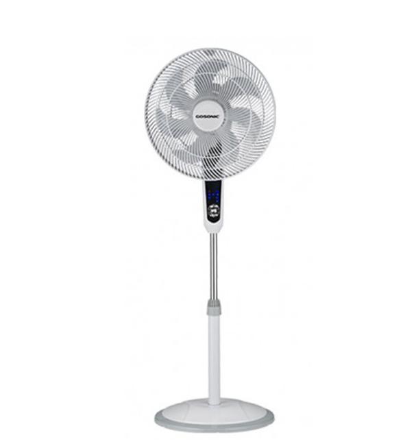Fan Fan