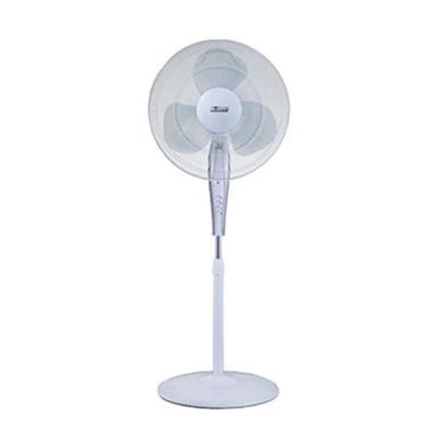 Fan Fan