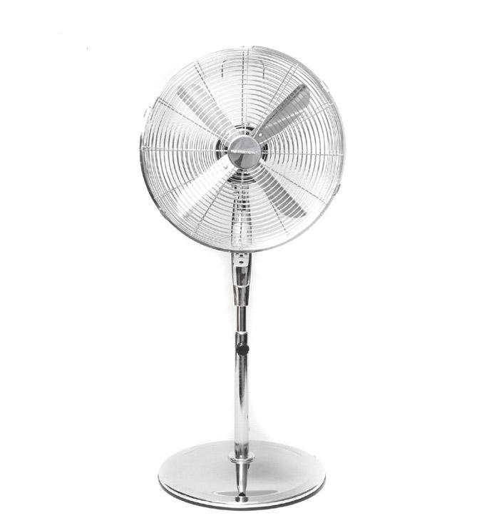 Fan Fan