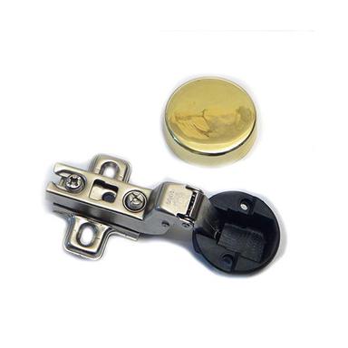 Built-in glass hinge pic